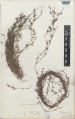 Thumbnail for version as of 14:27, 28 March 2016