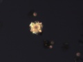 (thumbnail)