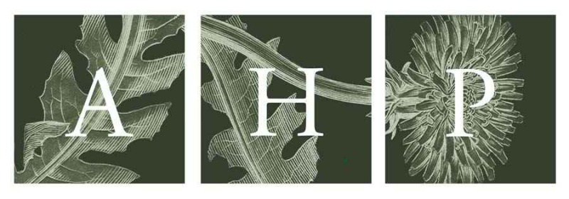 File:AHP logo small 2.jpg