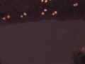 (thumbnail)