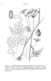Thumbnail for version as of 15:51, 14 January 2014