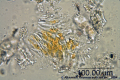Thumbnail for version as of 16:50, 14 January 2014