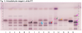 Thumbnail for version as of 16:50, 14 January 2014