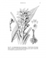 Thumbnail for version as of 16:50, 14 January 2014