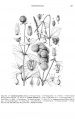 Thumbnail for version as of 15:51, 14 January 2014
