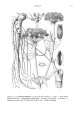 Thumbnail for version as of 15:52, 14 January 2014