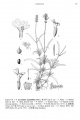 Thumbnail for version as of 15:52, 14 January 2014