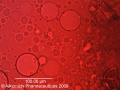 Thumbnail for version as of 15:52, 14 January 2014