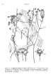 Thumbnail for version as of 16:50, 14 January 2014