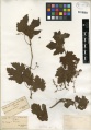 Thumbnail for version as of 02:26, 27 March 2014