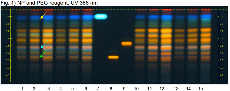 File:Tilia spp-NP and PEG reagent, UV 366 nm-hptclc-association.png