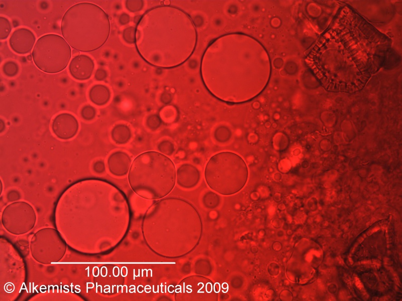 File:Euterpe oleracea-1 - Alkemist Laboratories.jpg