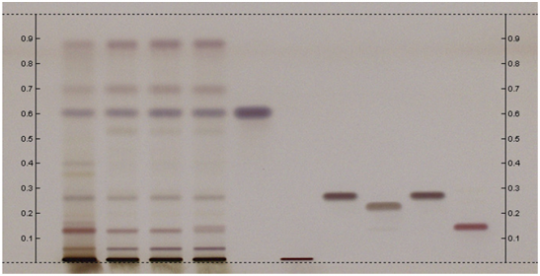 Withania somnifera - HPTLC ASSOC.png